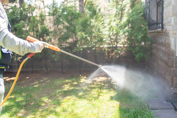 Best Local Pest Control Services  in Crownpoint, NM
