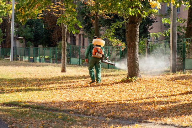 Professional Pest Control in Crownpoint, NM