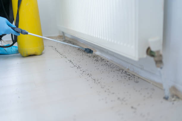 Best Insect Control  in Crownpoint, NM