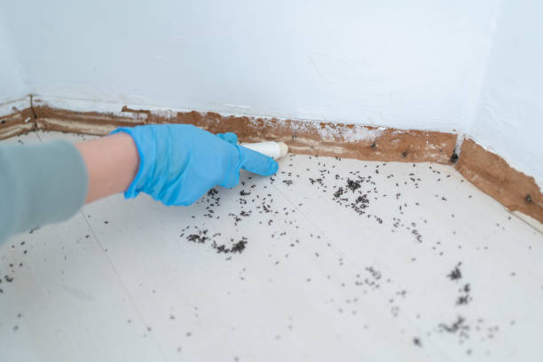 Best Pest Inspection Near Me  in Crownpoint, NM